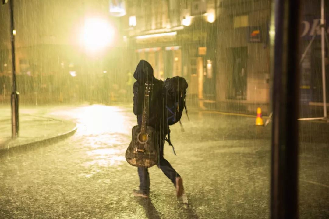 你家猫咪真的有九次重生机会吗？