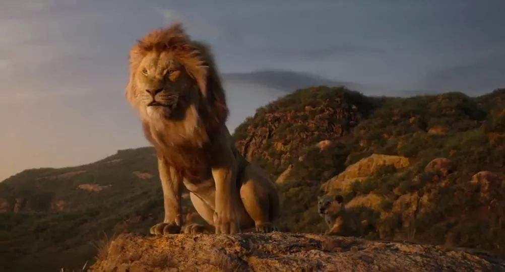 新手玩猫咪王为什么总被大佬吊打？