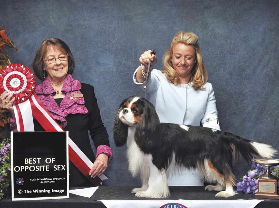 在委内瑞拉生活如何快速找到靠谱华人圈？