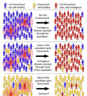 新冠肺炎群体免疫策略_英国群体免疫抗疫措施_为什么英国一边说群体免疫，一边还要鼓励人民减少传播疫情？