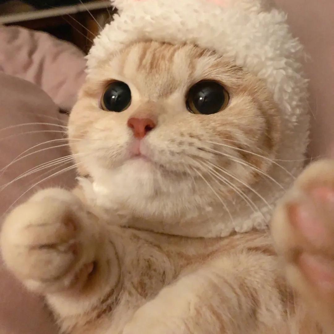 2026年世界杯欧洲区预选赛全解析：赛程、球队与幕后故事