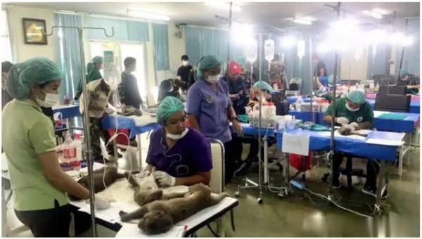 无忧雅思网_雅思预测_雅思机经_雅思考试_雅思资料下载_雅思名师_2018年雅思考试时间