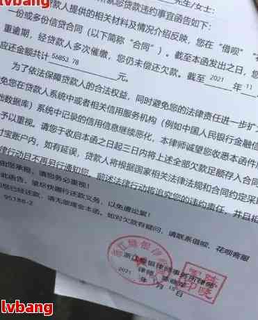 网贷逾期收到律师函该怎么办？这份处理指南请收好