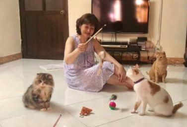 猫咪发烧真的会烧到40度吗？