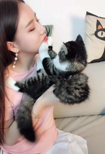 刚玩猫猫咪呀怎么避免被猫咪嫌弃？