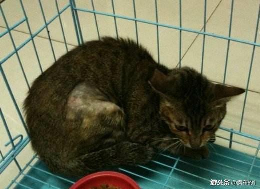 命宫算命真的能预测人生轨迹吗？