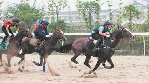 猫咪老师怎么突然能变成玲子形态？