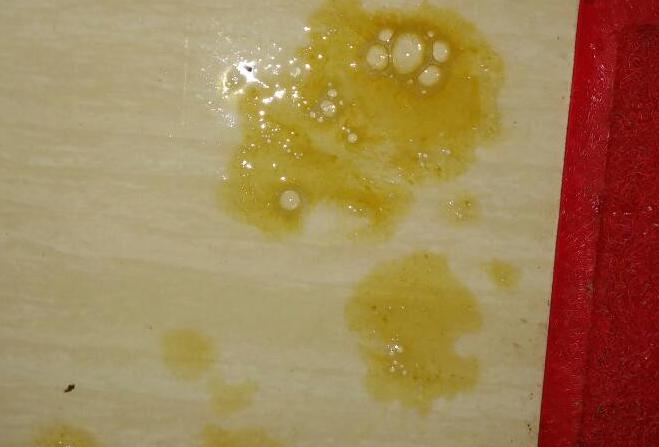 猫咪吐黄水还拉稀是怎么回事？