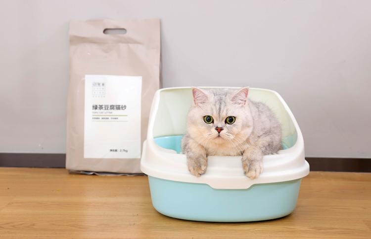 主子掉进马桶了怎么办？