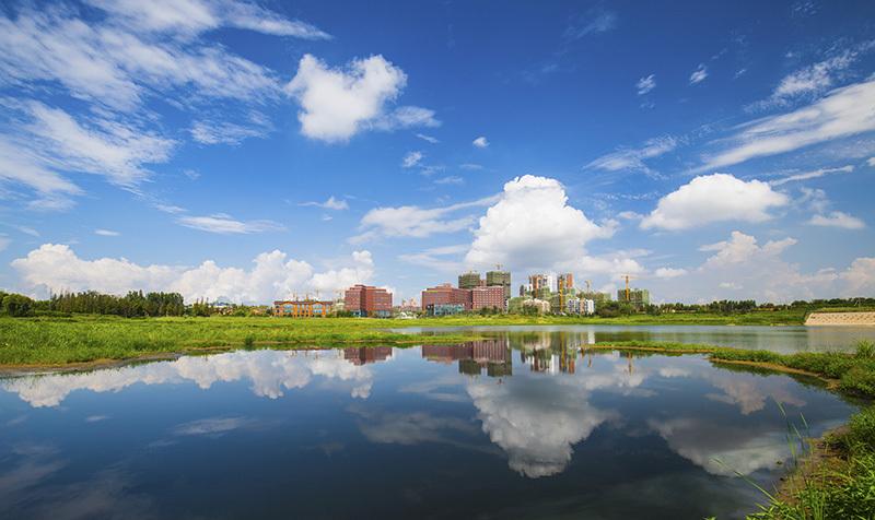 新加坡国立大学华人论坛到底能帮你解决多少问题？