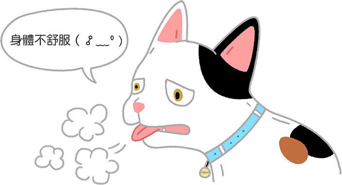 猫咪喘气像跑完马拉松？这正常吗？