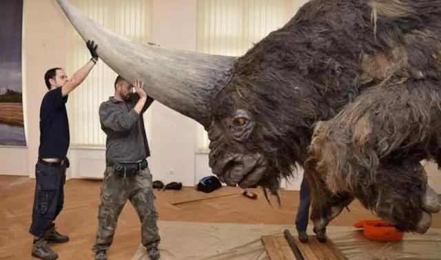 你问尼斯巨兽可以买吗？其实它是否真实存在还存疑，这些信息你可得好好看看