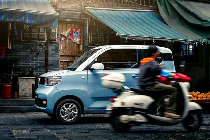 梦见胳膊长肉花出芽是吉兆?3招解锁财富与健康密码 梦见胳膊长肉花出芽是吉兆?3招解锁财富与健康密码