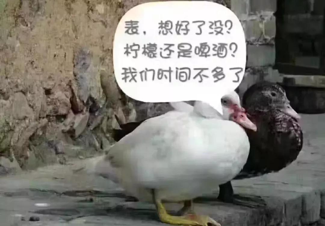 8月17日真的是鬼节吗？揭开日期背后的秘密