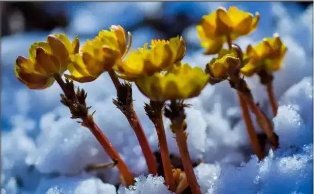 梦见一个老爷爷跟我说话预示什么？深度解析与化解指南