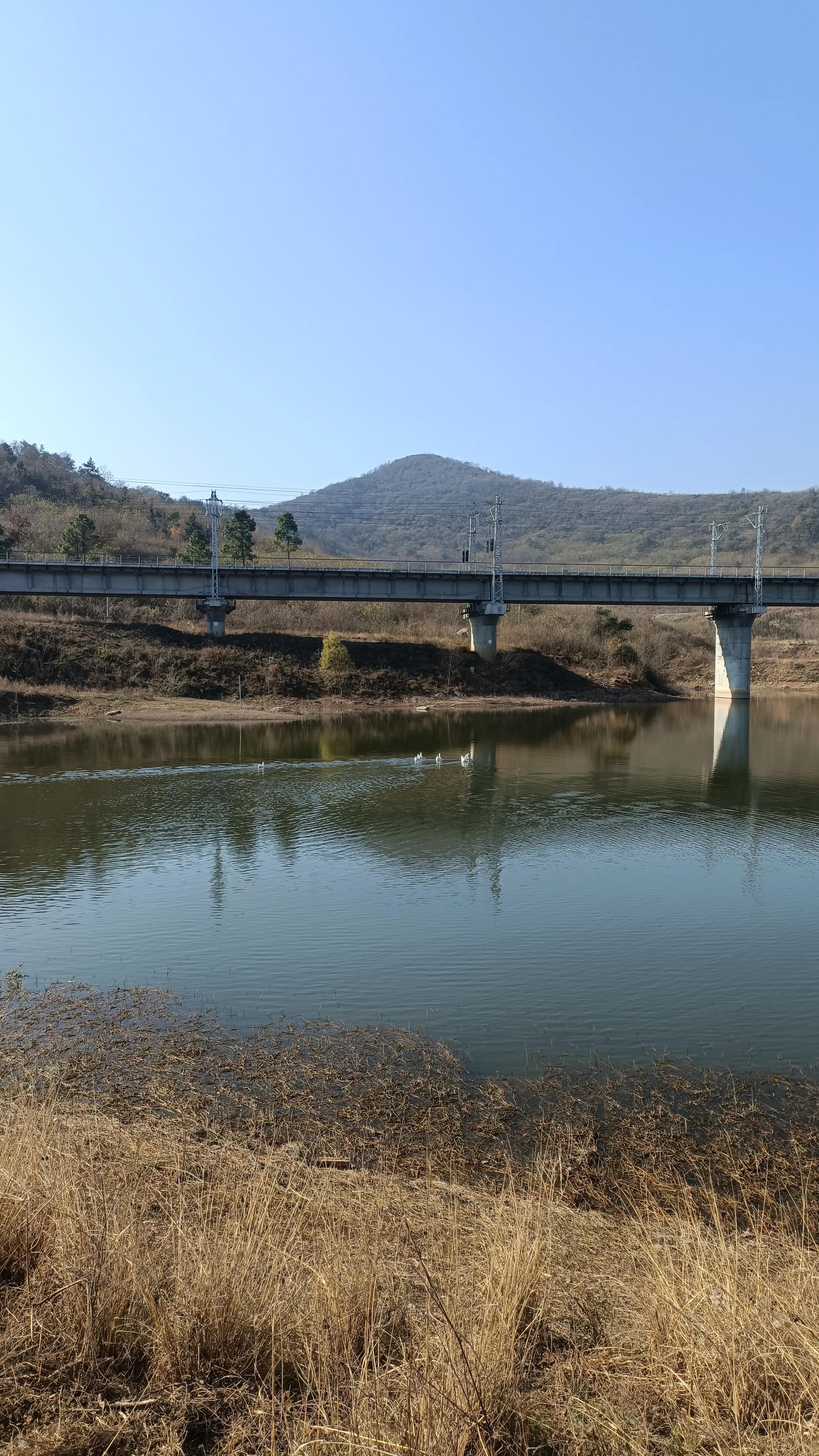 波茨坦华人论坛到底怎么用?新人避坑指南来了! 波茨坦华人论坛到底怎么用?新人避坑指南来了!