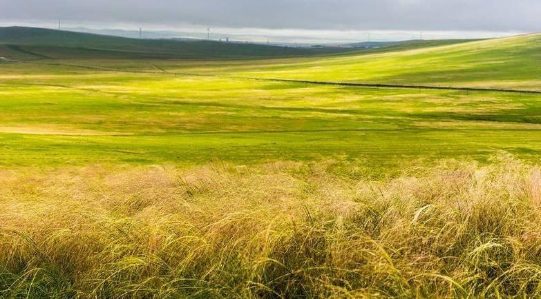 梦见耳朵缺了一角但没伤到它预示什么？3招破解关系困局