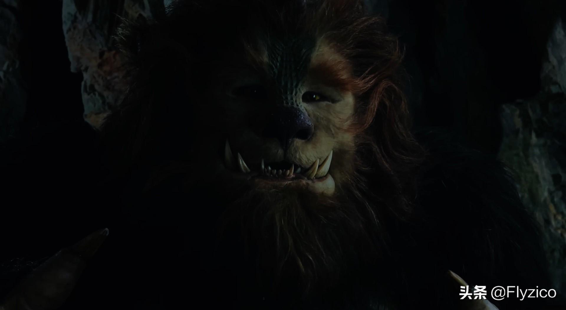 在北美华人论坛聊中国农村是不是脑子进水了？