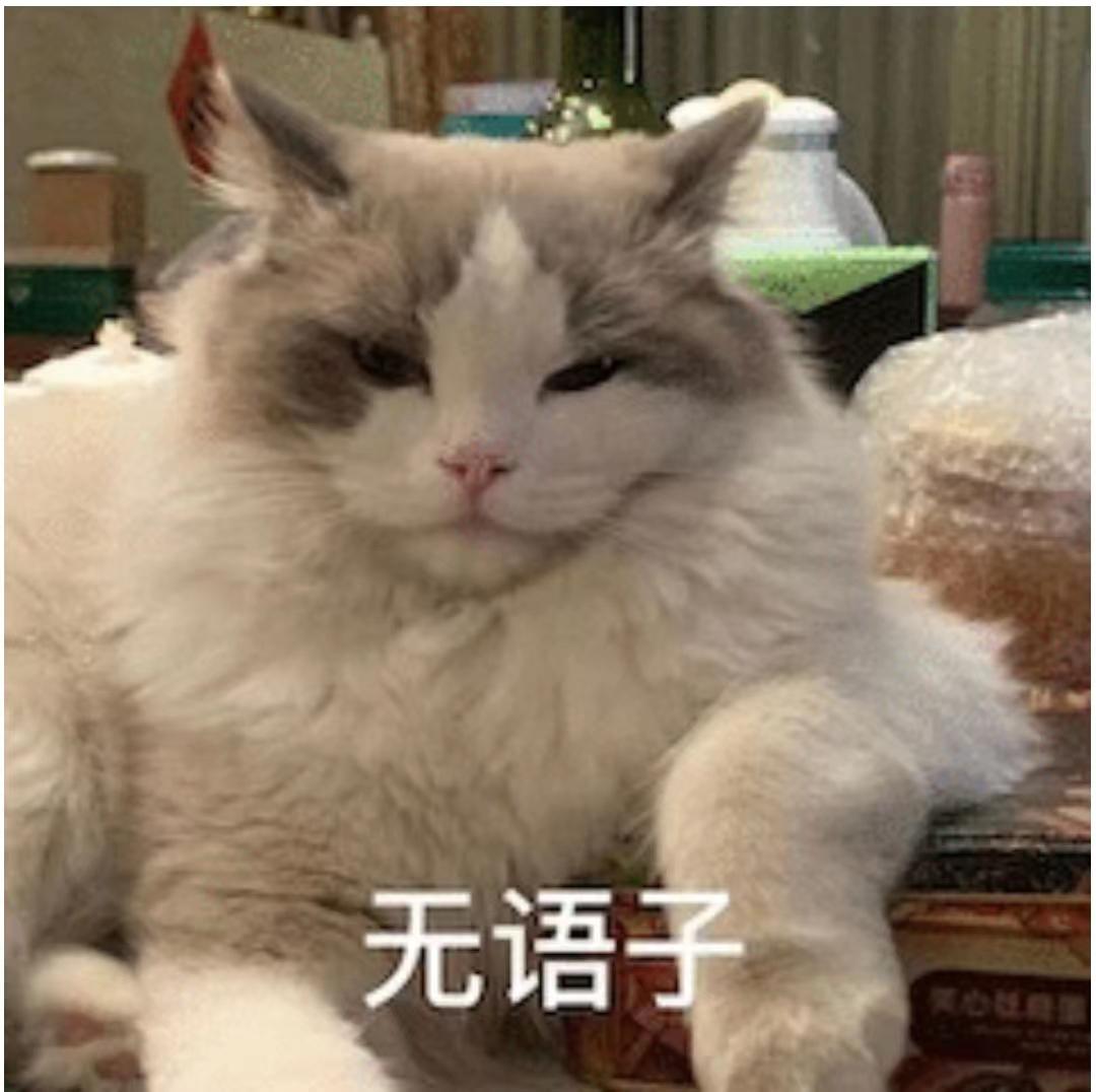 猫咪到底多大才能当妈？