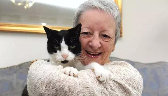 猫咪乳房突然摸到硬块？新手铲屎官该怎么办？