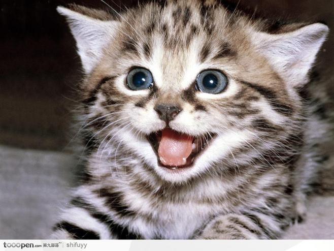 李诗沣到底多大了？为什么他的年龄能引发全网热议？