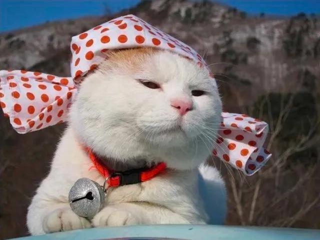 日产乱码区别免费必看,字符编码陷阱如何破解,三分钟掌握文件修复技巧 日产乱码区别免费必看,字符编码陷阱如何破解,三分钟掌握文件修复技巧