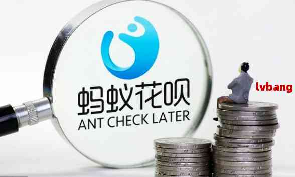 蚂蚁花呗逾期5天严重吗？这里有权威答案