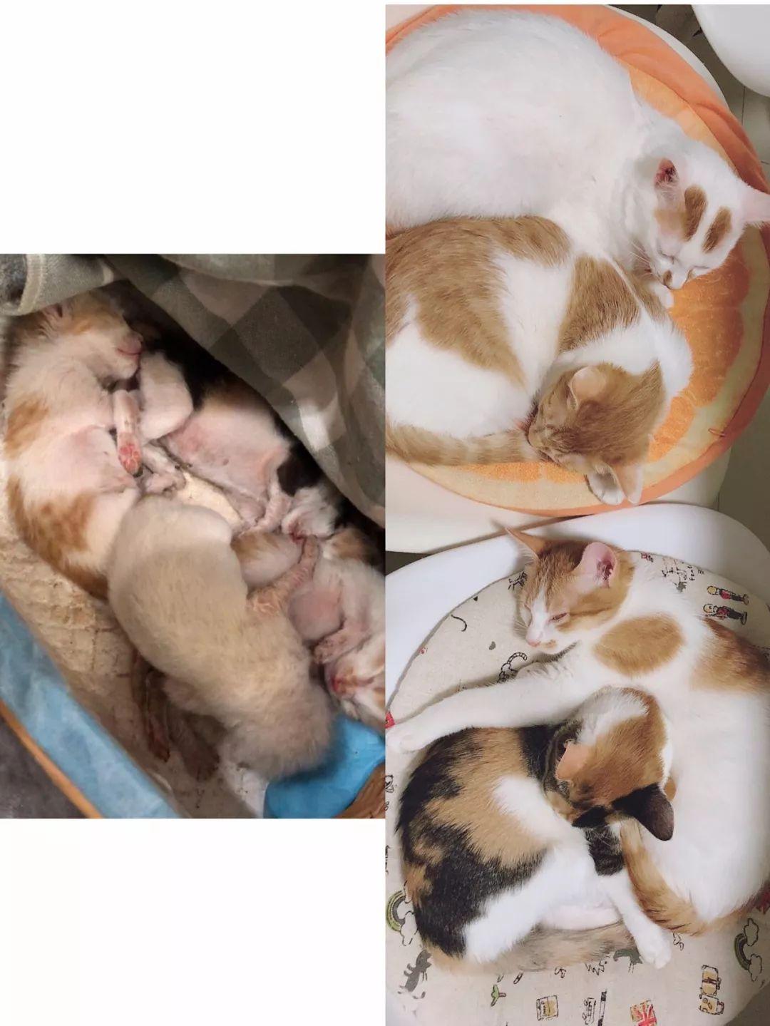 【淘宝官方】淘分销平台——高效供需撮合平台（淘分销 供销平台）