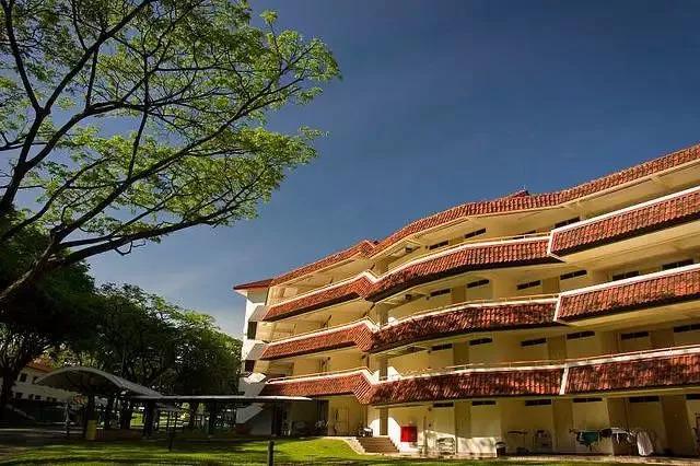 刚来新加坡找不到组织?狮城网华人论坛到底该怎么用? 刚来新加坡找不到组织?狮城网华人论坛到底该怎么用?