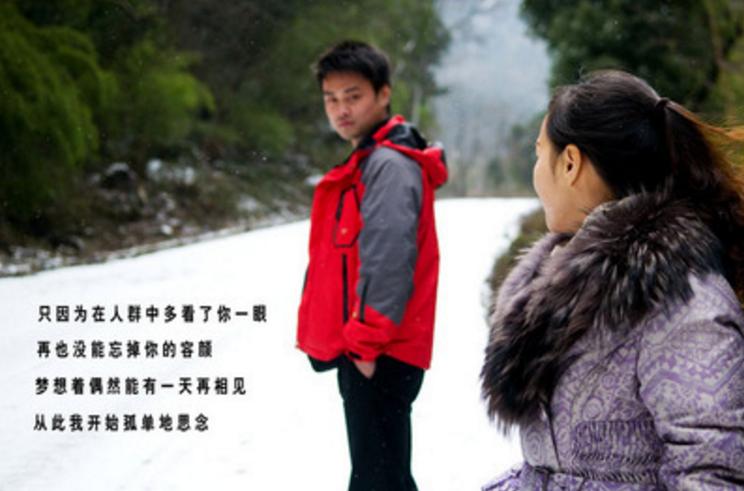 你家猫主子看到鱼就扭头?别慌!这正常吗? 你家猫主子看到鱼就扭头?别慌!这正常吗?