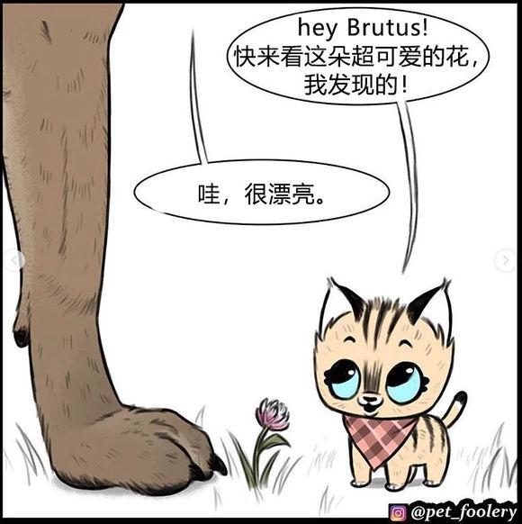 猫咪老师怎么突然能变成玲子形态？