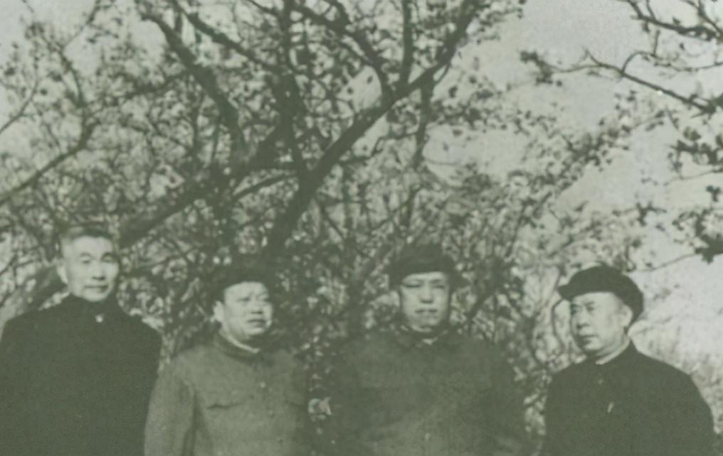 梦见飞机在眼前坠落预示什么？解梦师揭秘3层心理预警与应对技巧