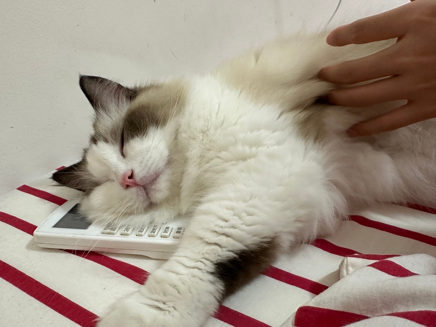 看完再也不迷糊