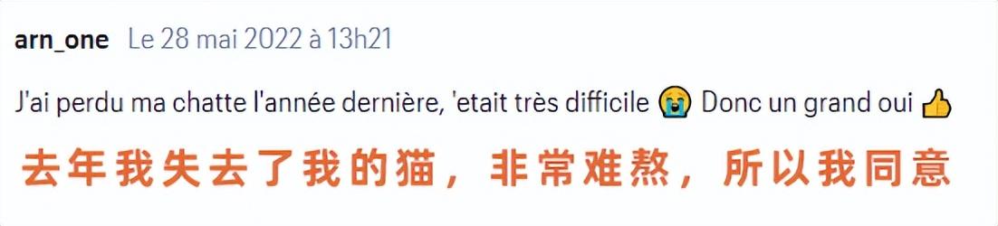 猫咪生宝宝到底要煎熬多久？