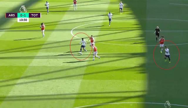 你家猫主子冬天疯狂掉毛？别慌！这可能是正常操作！