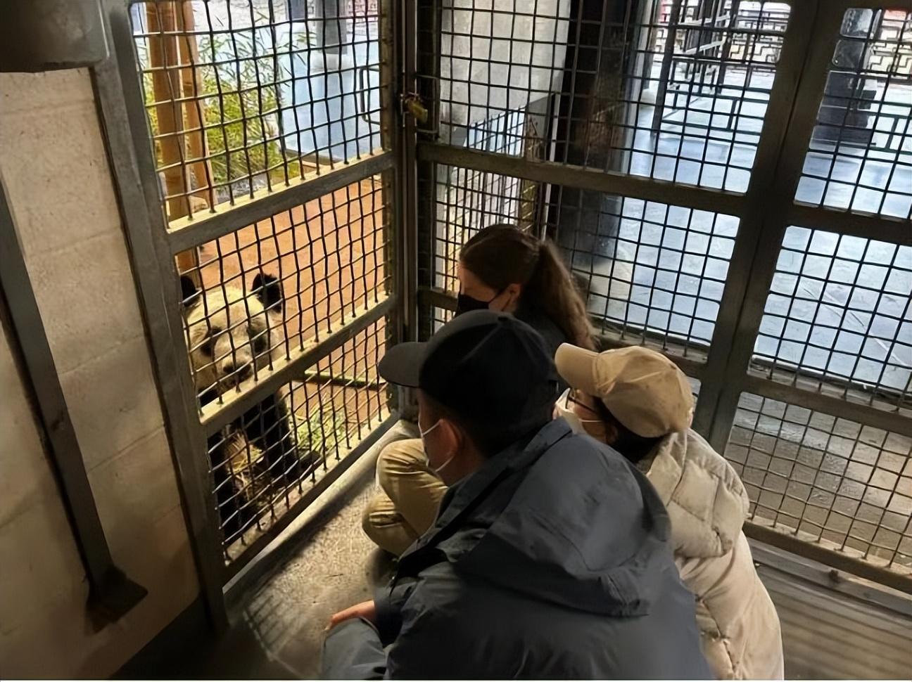 华人论坛丫丫乐乐到底怎么玩？新手必看避坑指南