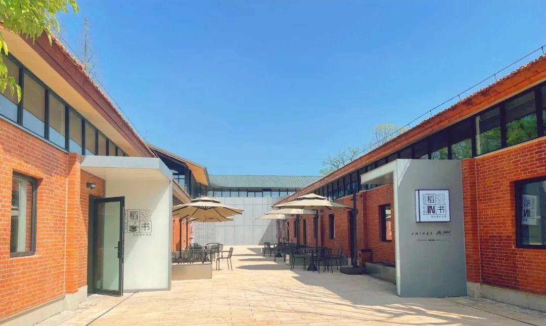 北美华人论坛聊农村为啥总踩不准节奏？