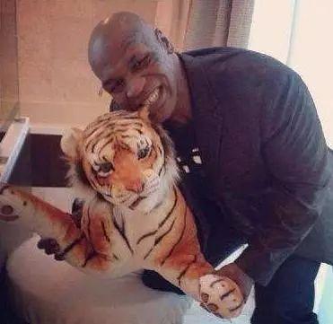 猫咪一岁相当于人类几岁? 猫咪一岁相当于人类几岁?