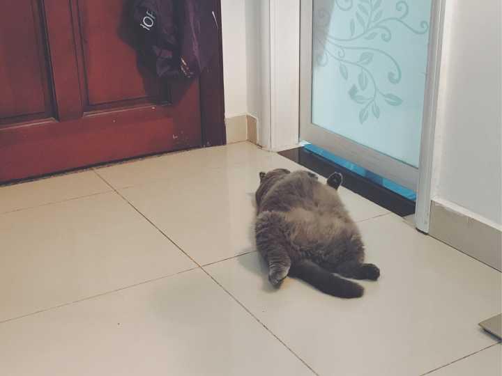 想买代步车预算不足？二手奇瑞A1真能省2万元？3天过户全流程避坑指南