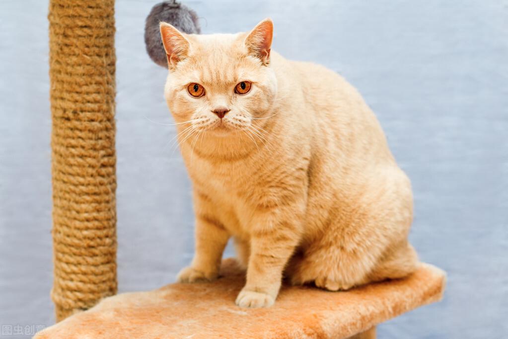 广州考驾照真的比别的城市难吗？