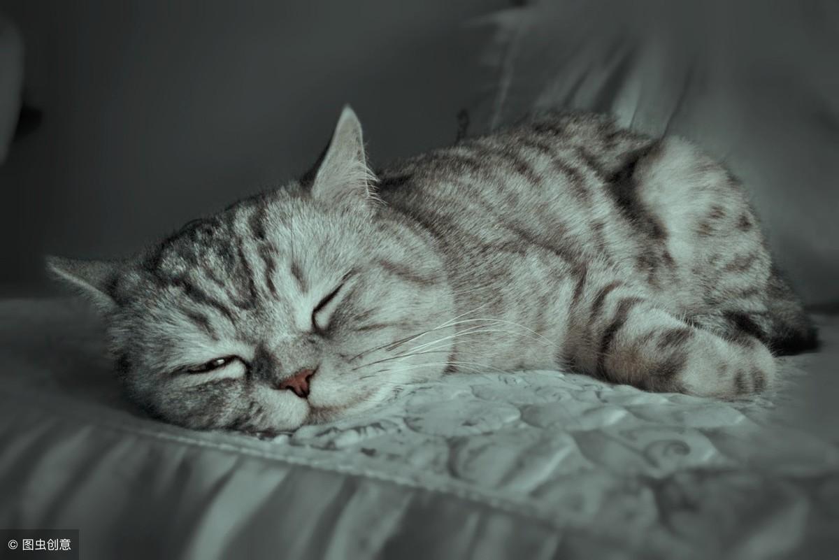 总是梦见美女怎么办？2025年星座预警与科学破局指南