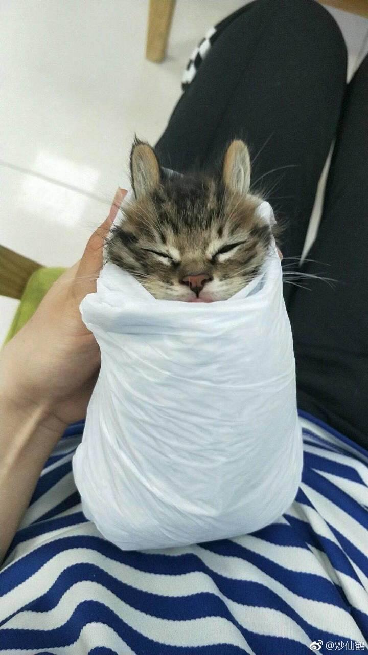 揭秘经典道家典籍《老子》中最精髓的五大哲理