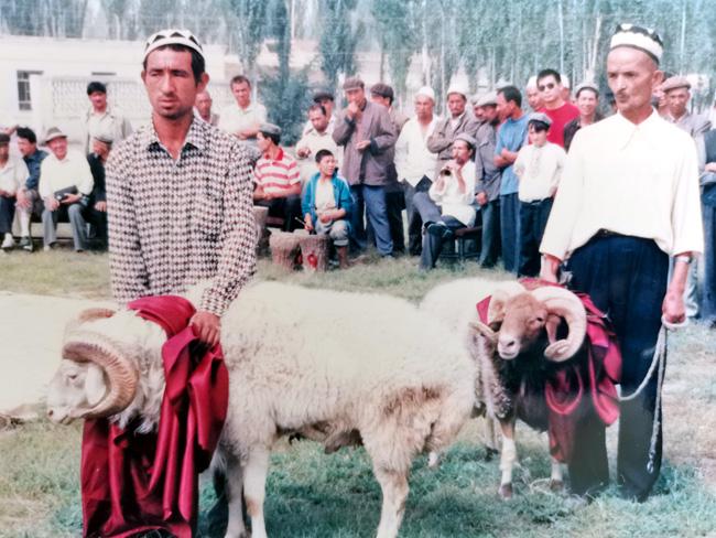 多彩体育app下载