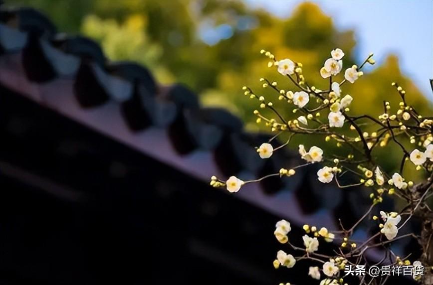 2023年犯太岁怎么办?这5招教你轻松化解! 2023年犯太岁怎么办?这5招教你轻松化解!