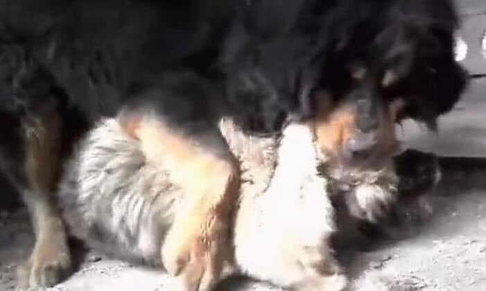 根特大学华人论坛到底能帮你解决多少留学生活难题? 根特大学华人论坛到底能帮你解决多少留学生活难题?