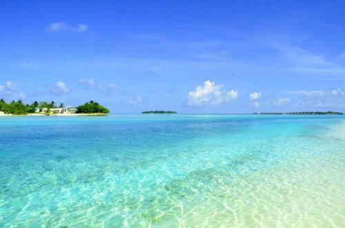 3.23世界气象日：气候变化与人类未来，如何应对全球变暖挑战？