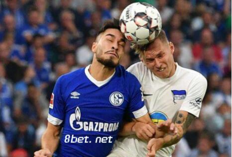 拜仁8-0狂胜沙尔克是怎么做到的? 拜仁8-0狂胜沙尔克是怎么做到的?