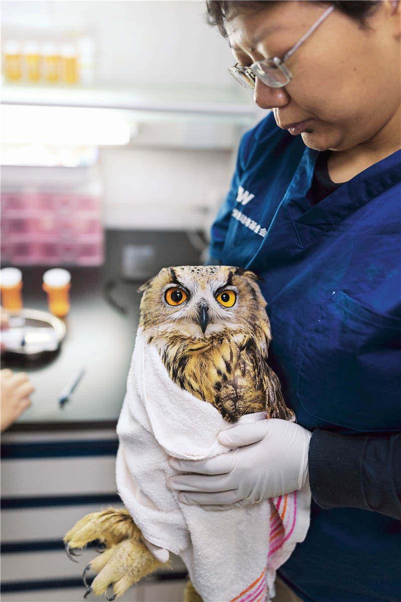 你的命运真的藏在手掌和脸上吗？