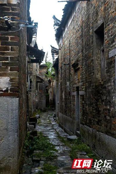 宇视科技：视频监控领域佼佼者的发展历程与核心业务揭秘