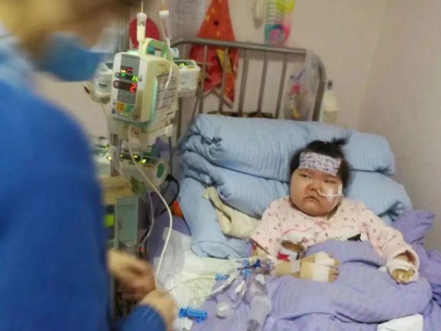 手残党也能给主子做零食吗? 手残党也能给主子做零食吗?